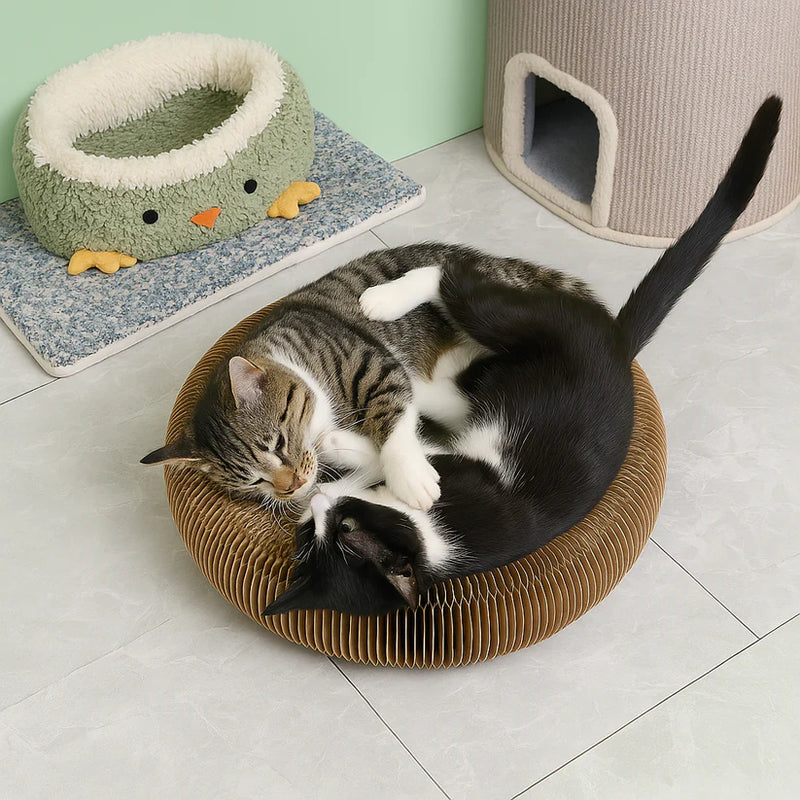 Griffoir pour Chat Carton avec Cloche -70%