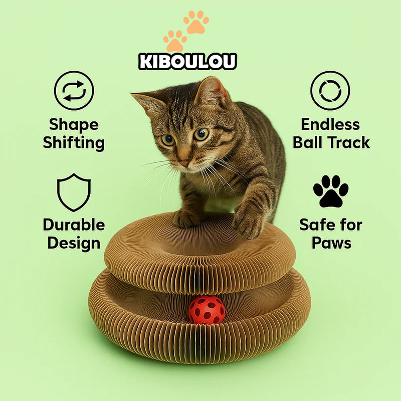 Griffoir pour Chat Carton avec Cloche -70%