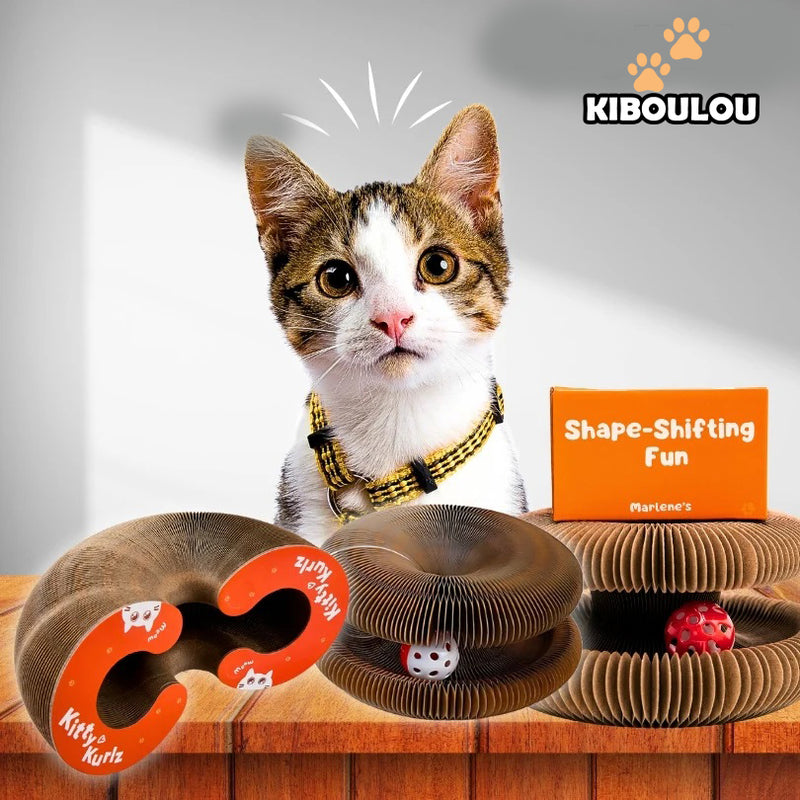 Griffoir pour Chat Carton avec Cloche -70%