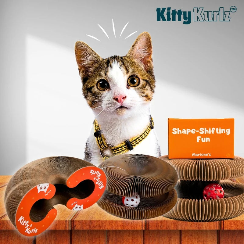 Griffoir pour Chat Carton avec Cloche